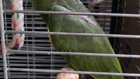 Billy