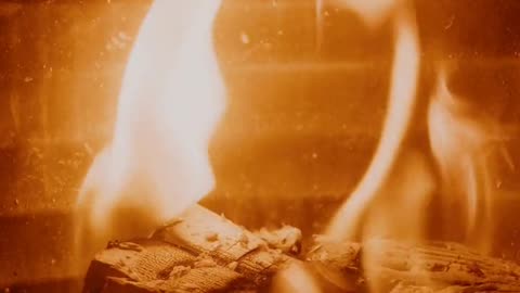 Daily Horoscope | Aries 🌟