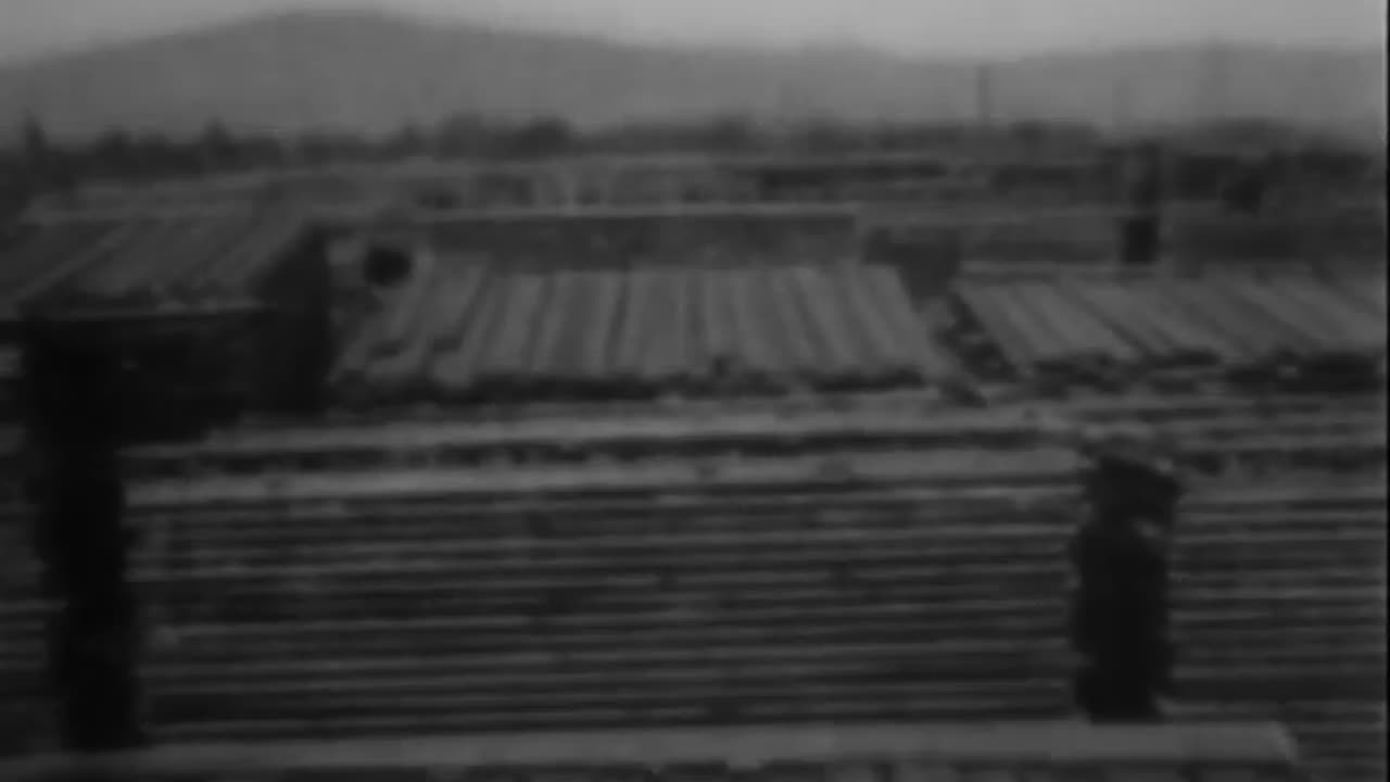 GOOD TURNS FOR OUR FORESTS - GOOD TURNS FOR OUR FORESTS - 33-260