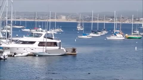 Irresistible Bliss - Chris Botti