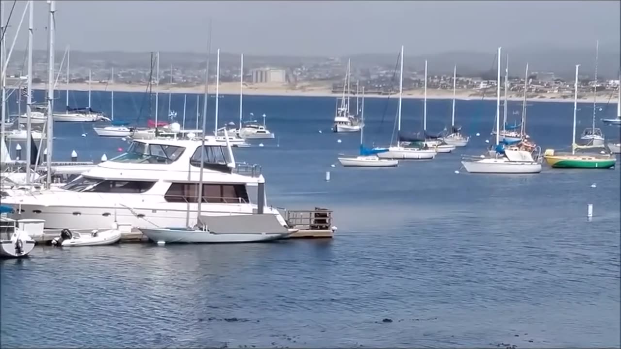 Irresistible Bliss - Chris Botti