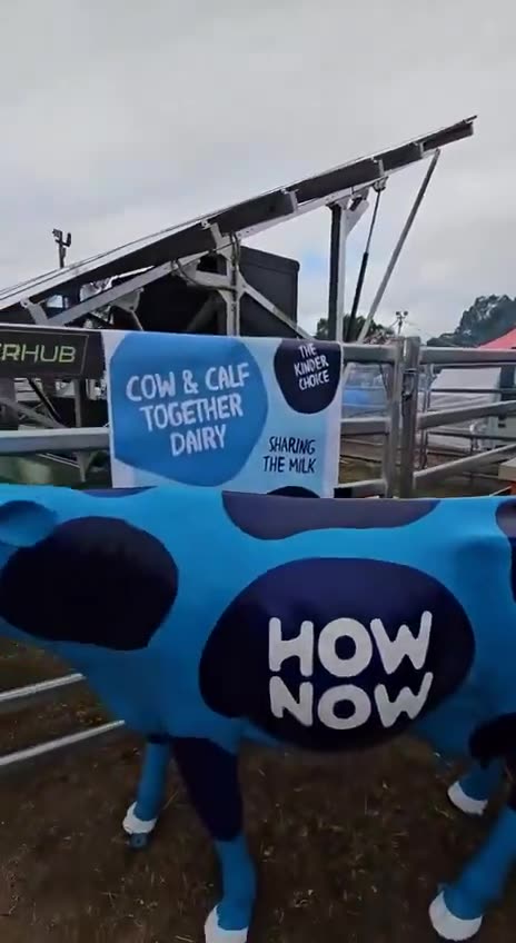 "Green" off-grid festival BUT powered up a massive diesel generator.