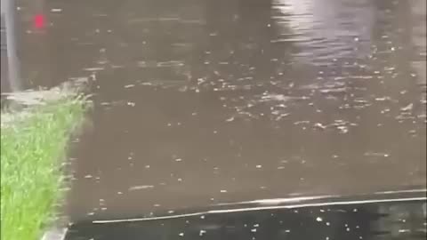 Moscow is experiencing heavy rain again.