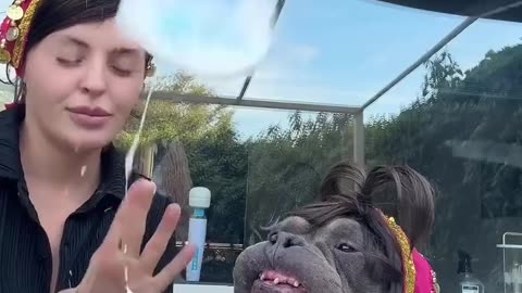 🍲🐘 Meatballs and Yogurt for Adorable Hippo! | FunFM