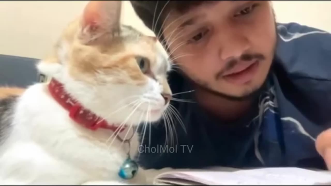 Meowing and leaning 😂😂😂