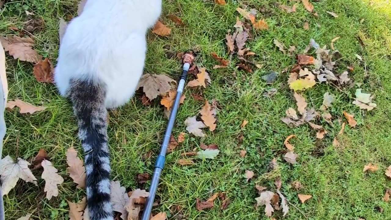 Final meeting with Whitey in Halifax 💕