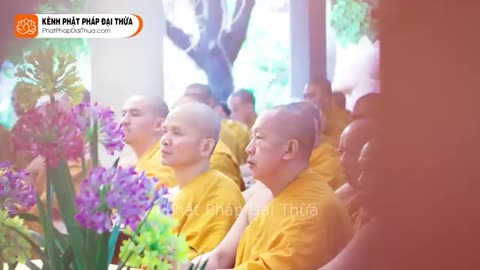 Giật Mình Khi Biết Có Gì Dâu Mà Chứng Đắc _ Kinh Kim Cang Bát Nhã Ba La Mật kỳ 07 - HT.Từ Thông.mp4