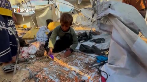 Comisión de ONU confirma genocidio en Gaza; Israel pide su disolución