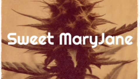 Sweet MaryJane