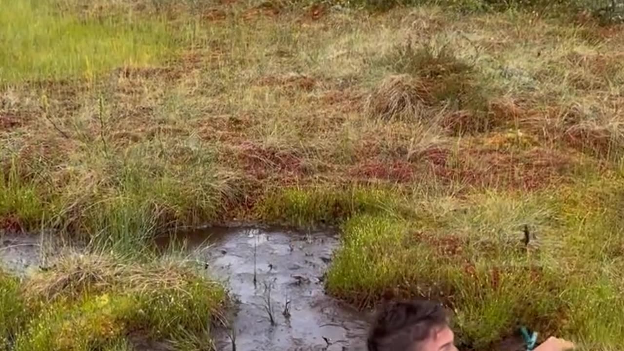 Swamp Jumps