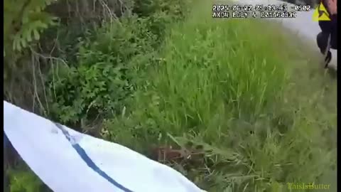 Door County deputy's quick actions save newborn fawn after car crash