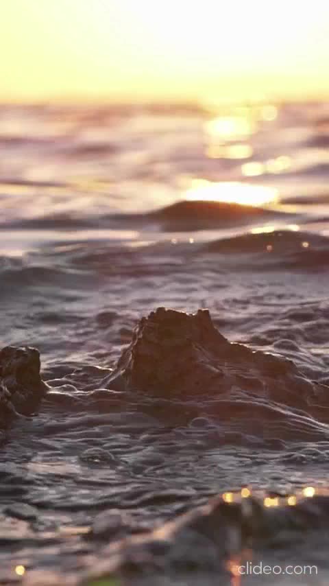 aqui a meta e de 12000 inscritos