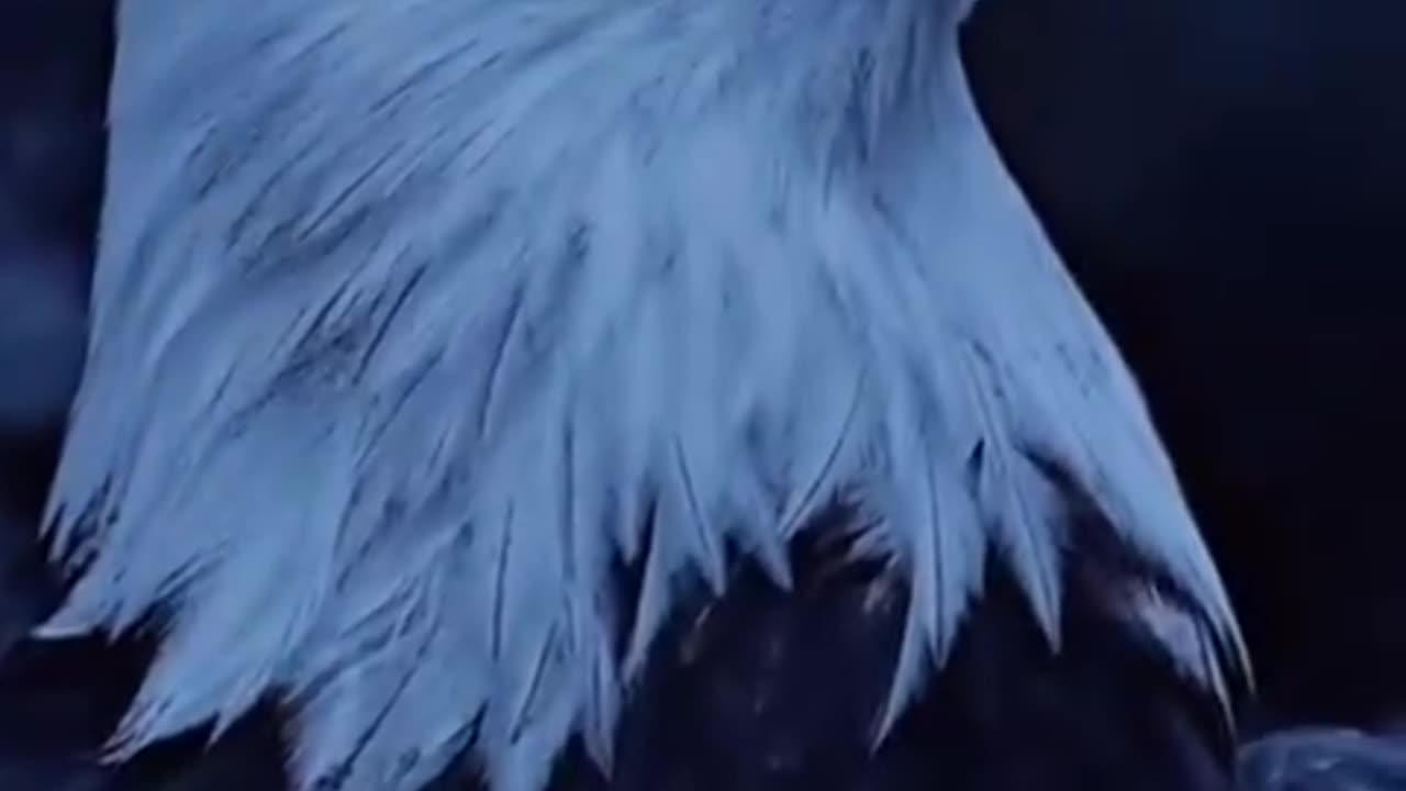 What the hell is that aura