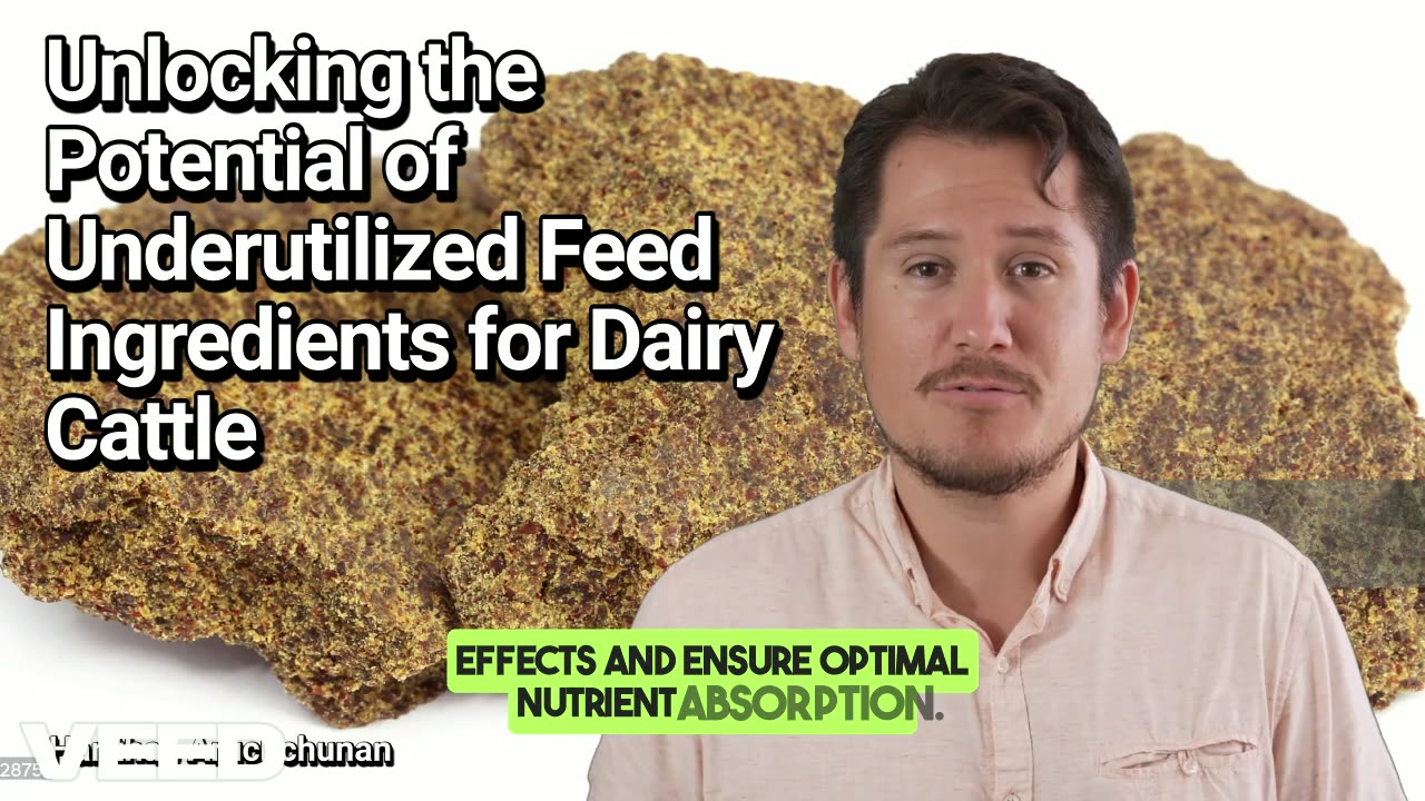 Unlocking the Potential of Underutilized Feed Ingredients for Dairy Cattle