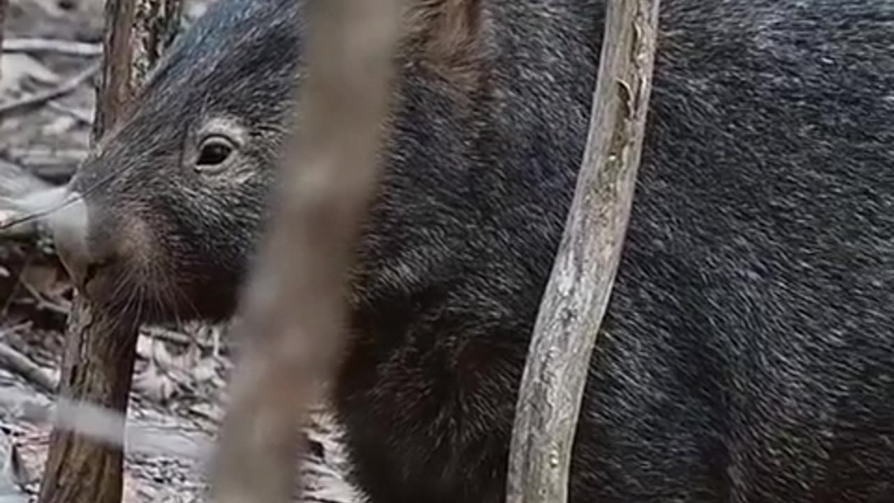 Tudo Entreguei ao Senhor.mp4