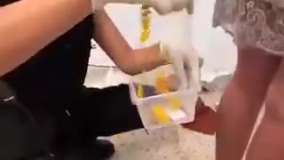 The things that ICE finds! And WHERE!