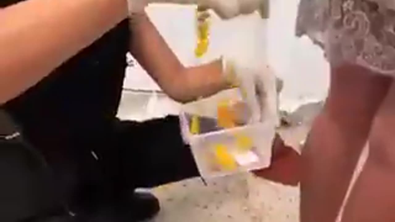 The things that ICE finds! And WHERE!