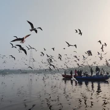 😊 83 “TU ABUNDANCIA EMPIEZA EN TU MENTE" Génesis 24:40 😊