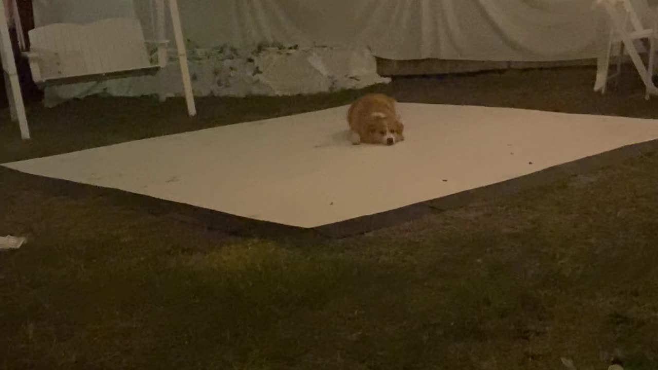 Barry's Ready to Dance