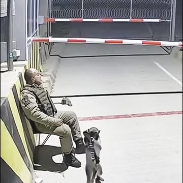 He slept on guard 😂😂 funny video reaction