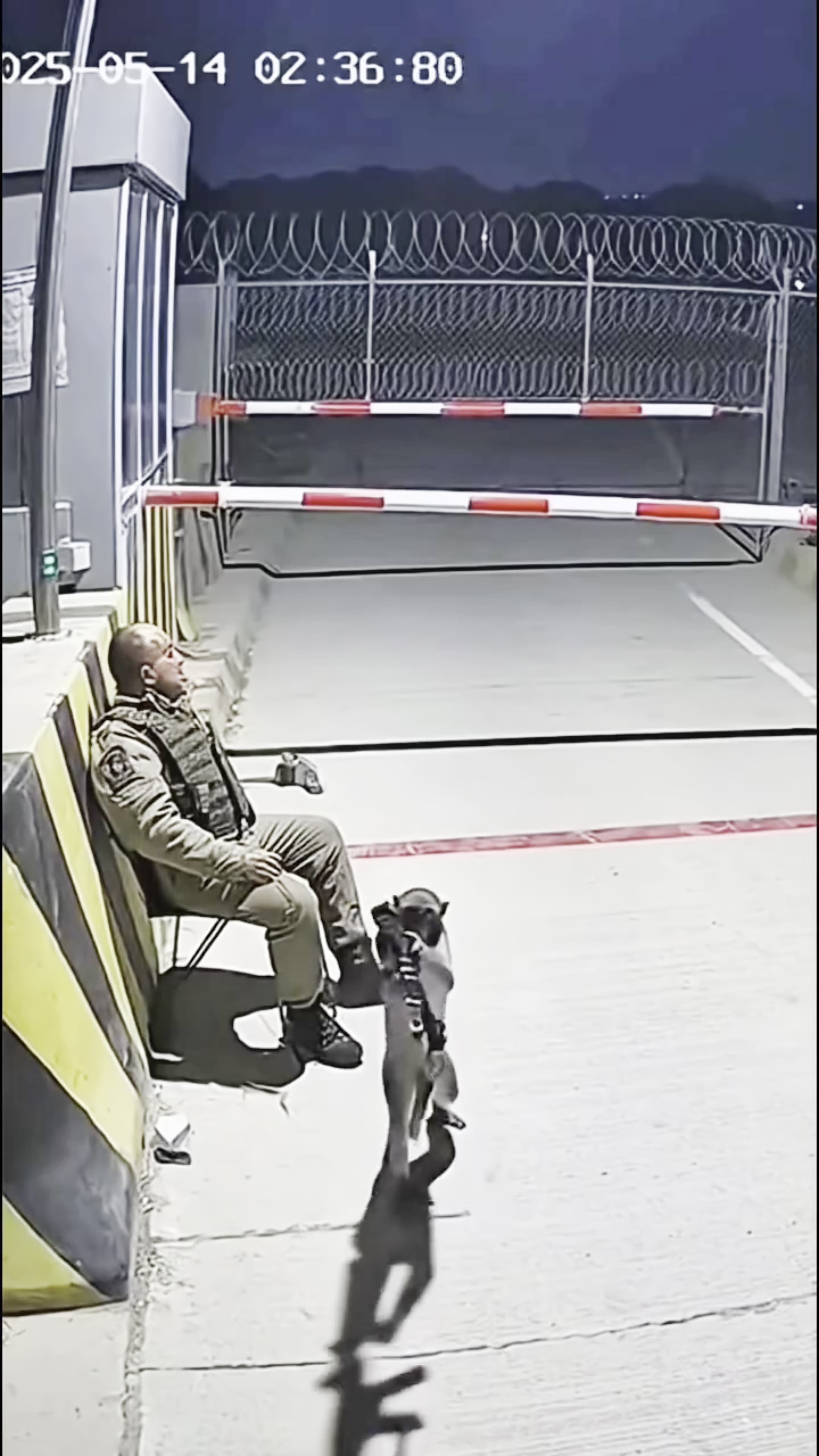 He slept on guard 😂😂 funny video reaction