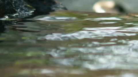 America's Grandma: Marriage: The Water Of Marriage