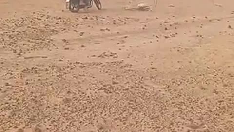 💥🏜️ Mali Conflict | Insurgent Raid on Desert Outpost | RCF