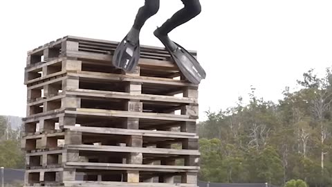 If animals did parkour🤣🤣