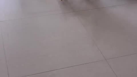 😂👀 Can't Stop Watching Them! | FunFM