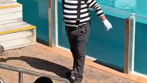 Aquarium Prank Gone Right! 🐬😂#TikTokFunny #DailyDoseOfLaughter 🐠💦🤣👶🐬