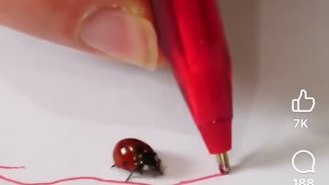 🧠✨ Watch a Ladybug Guided with a Red Ink Pen! So Fascinating | FeedMyCuriosity