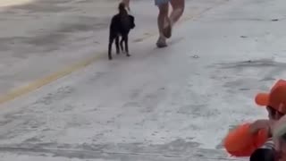 🤯 Intrusive Thoughts Win: This is Hilarious! | FunFM