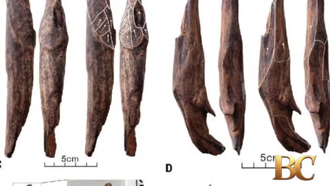 Tools unearthed in China are first evidence of East Asia’s ‘Wood Age’