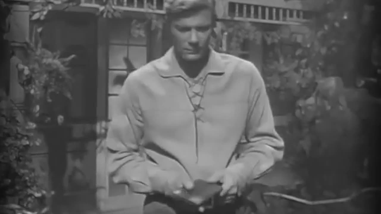 Whiplash Full - Flood Tide