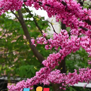 😊 45. ¡LO QUE CREES, DETERMINA LO QUE ATRAES! Santiago 4:3 😊