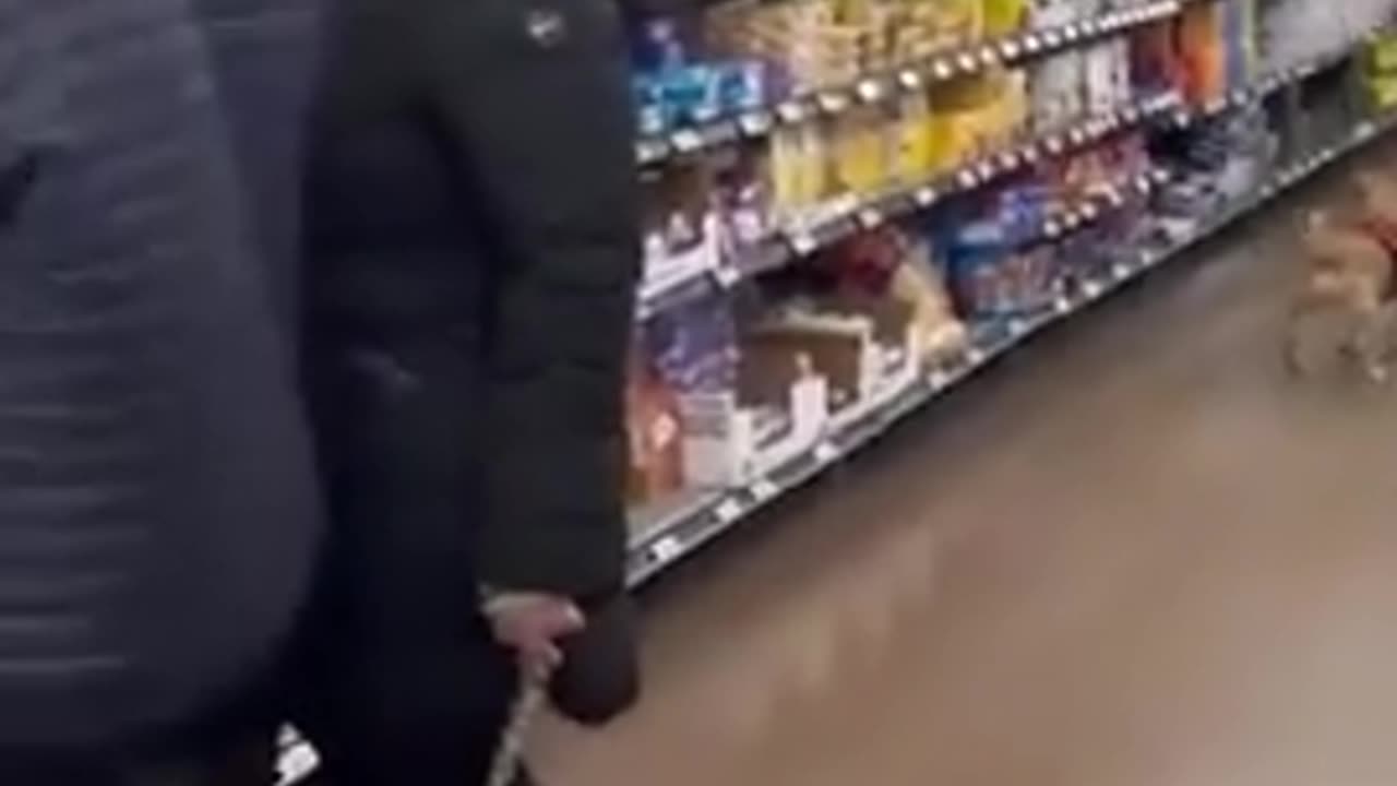 😂🤣 The Husband and Cameraman's Friendship is Unbelievable! | FunFM