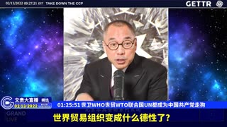 （27|61）世卫WHO世贸WTO联合国UN都成为中国共产党走狗【2022年02月13日文貴大直播精选】