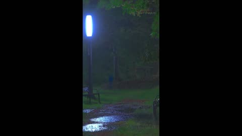 Chasing Quiet – following the rhythm of peace.