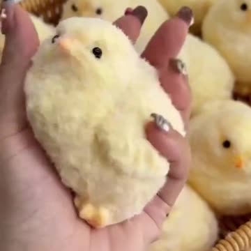 Chicks Squeeze Decompression Squishy Toys