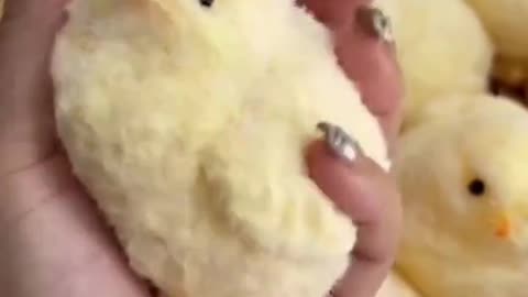 Chicks Squeeze Decompression Squishy Toys