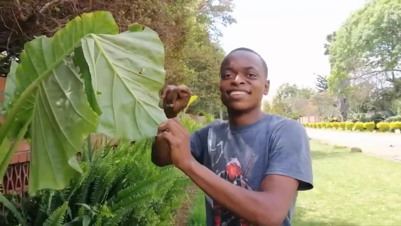 Best Funny Videos Compilation 😂😁😆