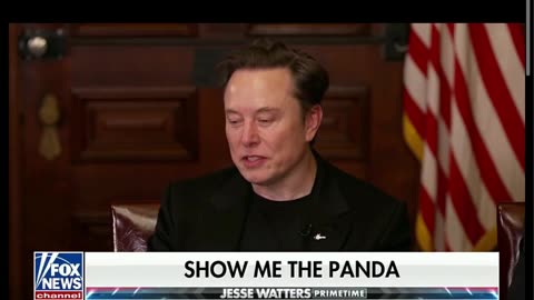 Elon Panda Comms