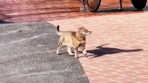 too big for me !!!