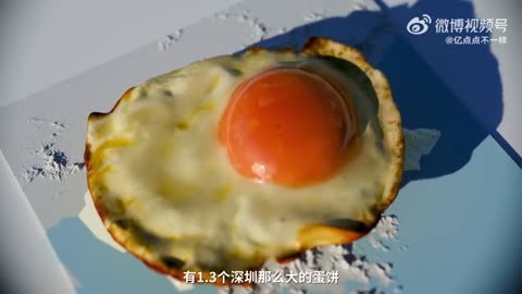 实拍21天孵化全过程！鸡是怎么来的？