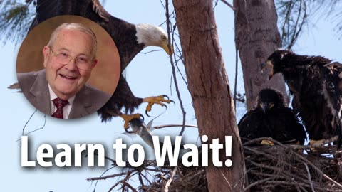 LEARN TO WAIT! – Isaiah 41:31 Devotional by Pastor Cecil A. Thompson