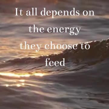 Reflections on Human Nature