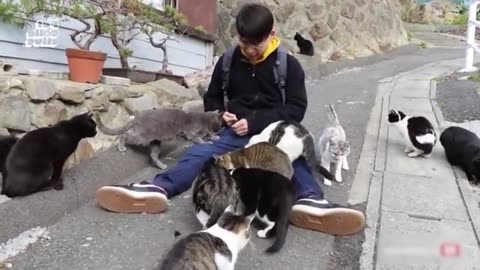 Smart Animals Doing Tricks #42