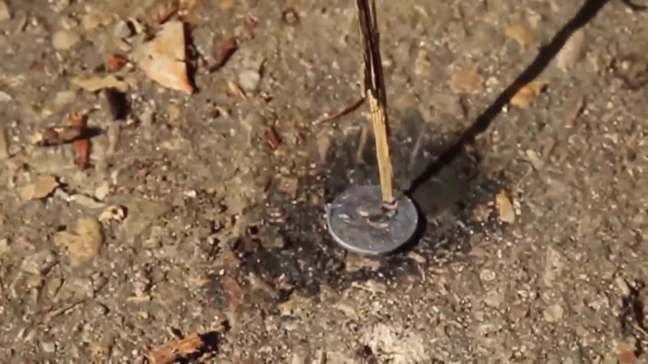 Vortices in a pool connected via a 'wormhole.'