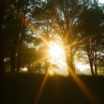 Unlock Your Purpose: Finding Meaning in Your Life