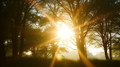 Unlock Your Purpose: Finding Meaning in Your Life